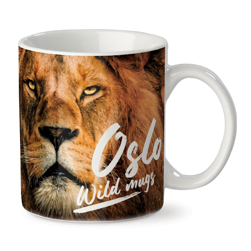 Mugg Oslo 300ml