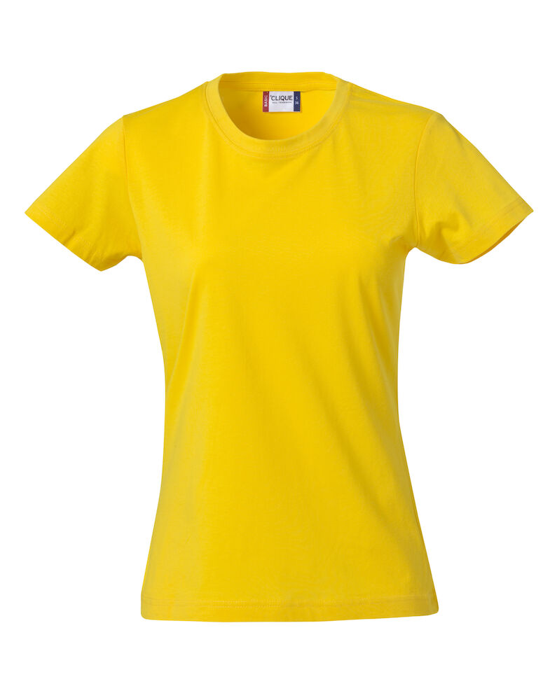 Basic-T Dam