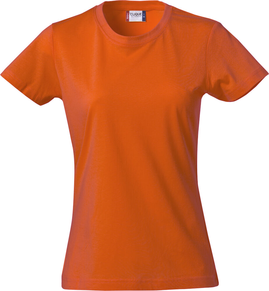 Basic-T Dam