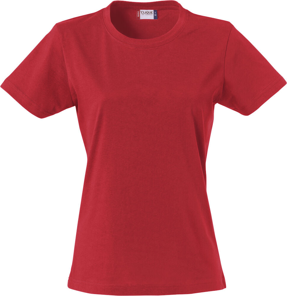 Basic-T Dam