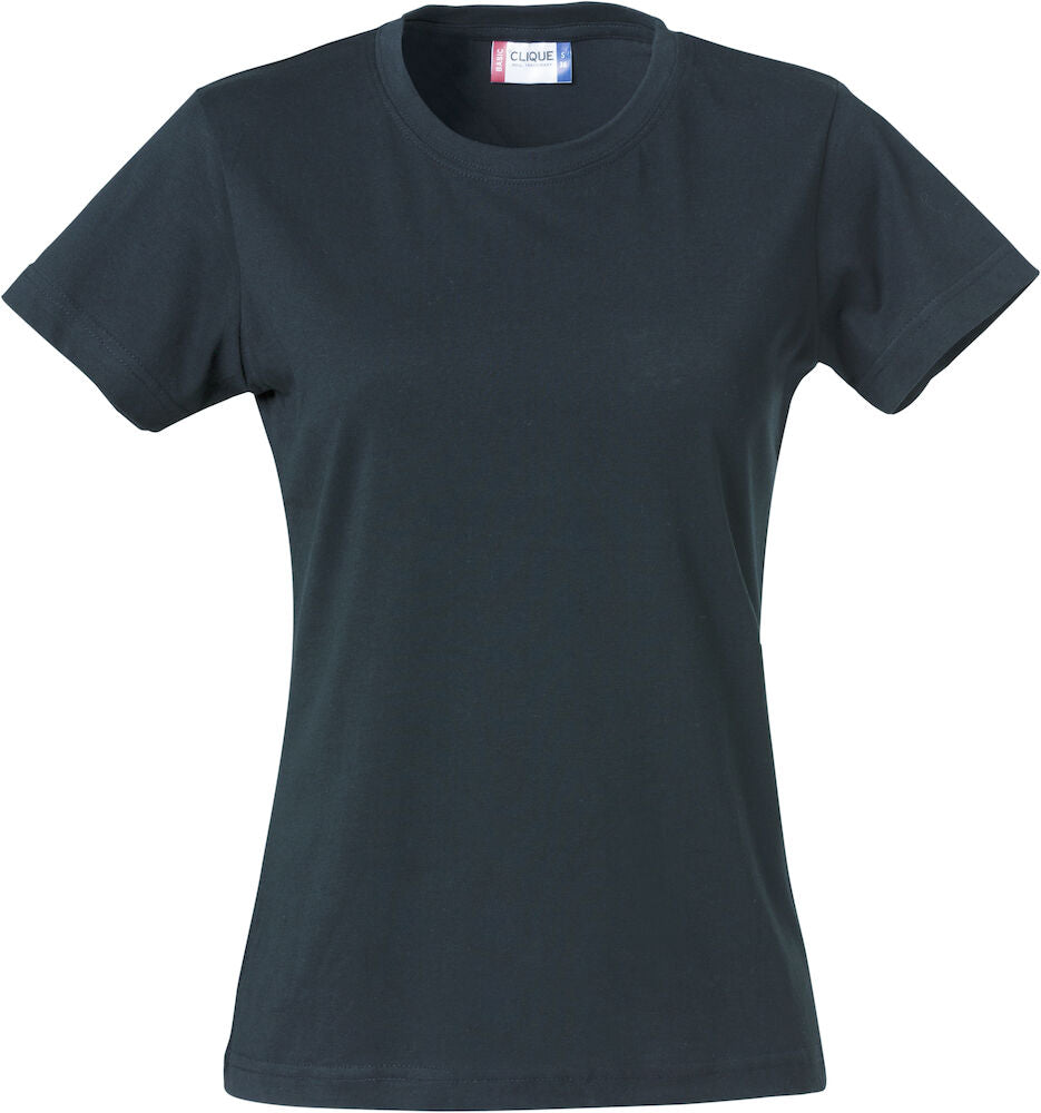 Basic-T Dam