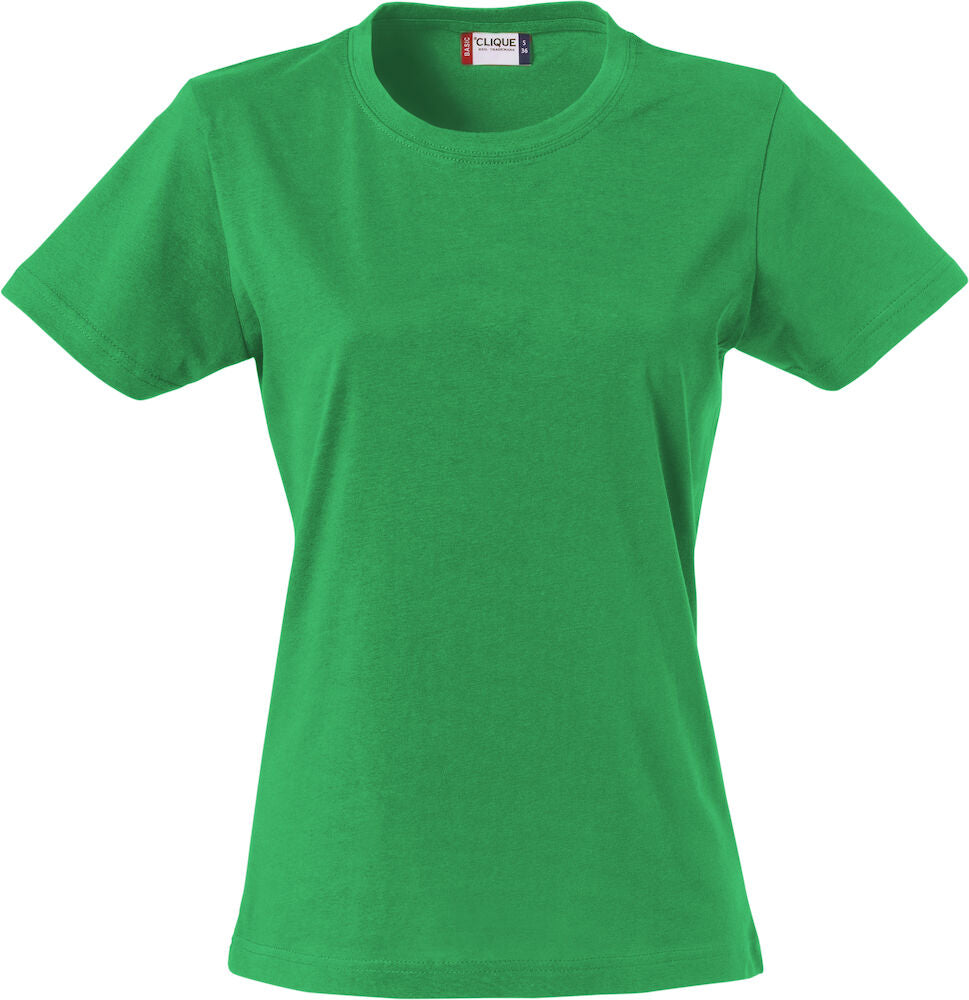 Basic-T Dam